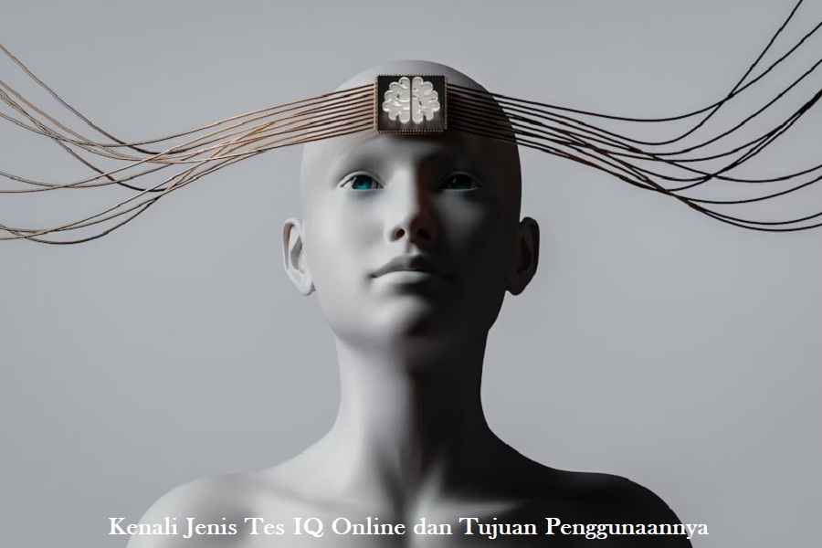 Tes IQ Online