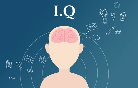 Tes IQ Online