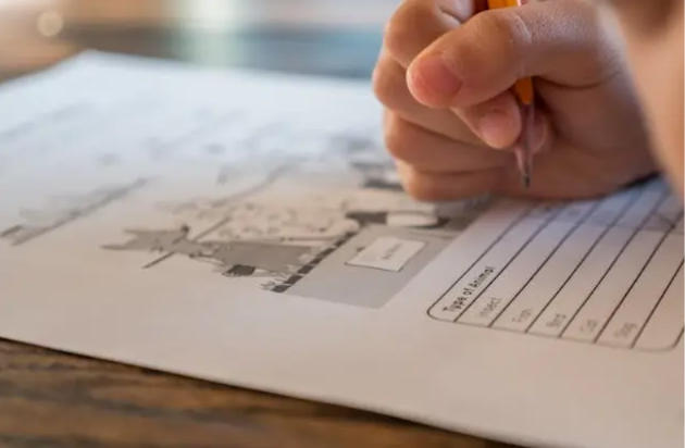 skor z Tes TPA