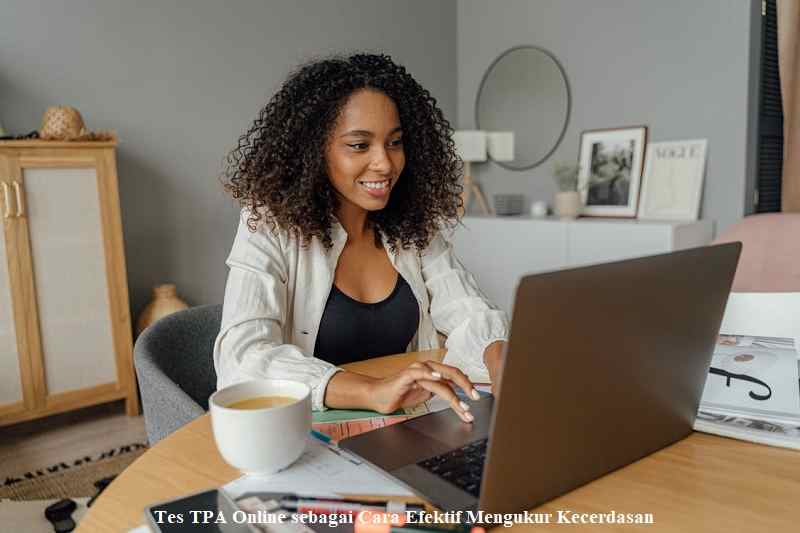 Tes TPA Online