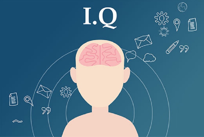Tes IQ Online
