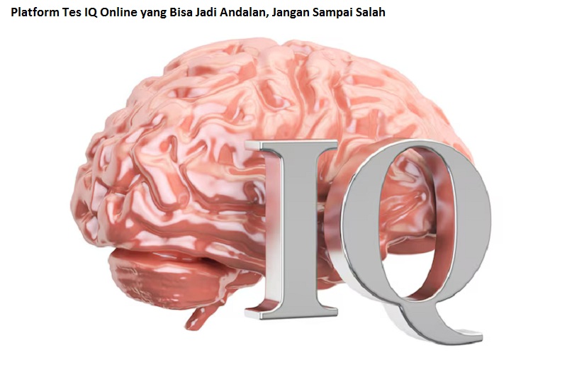Tes IQ Online