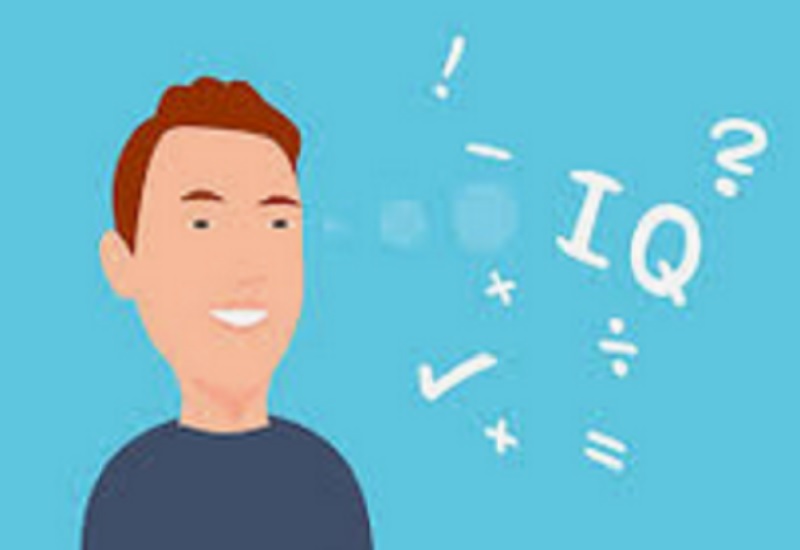 Tes IQ Online