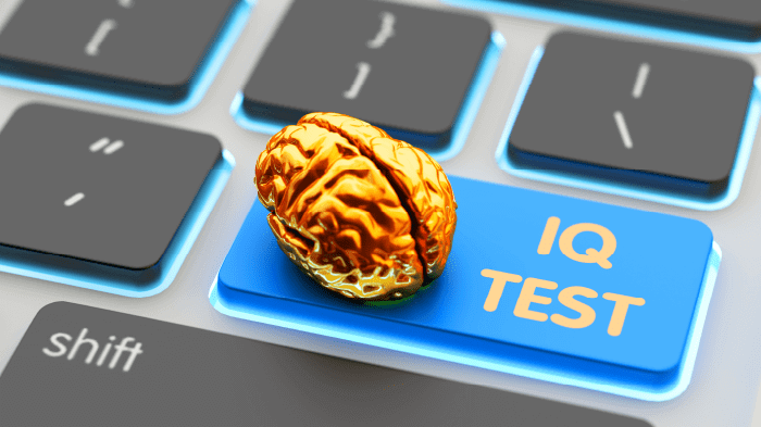 Tes IQ Online
