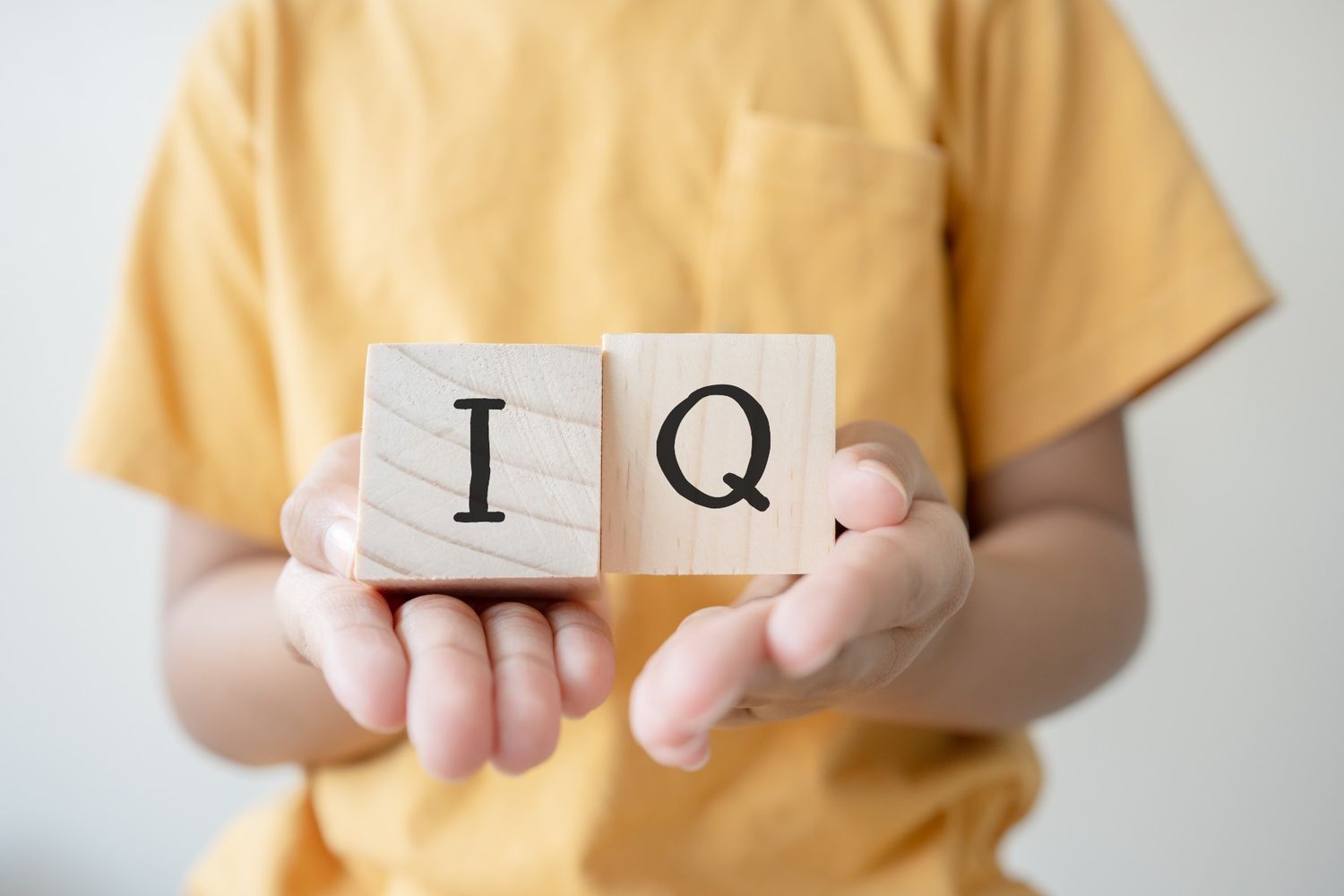 Tes IQ Online