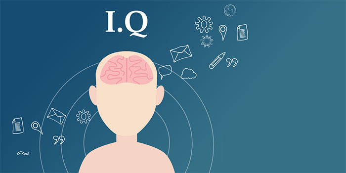 Tes IQ Online