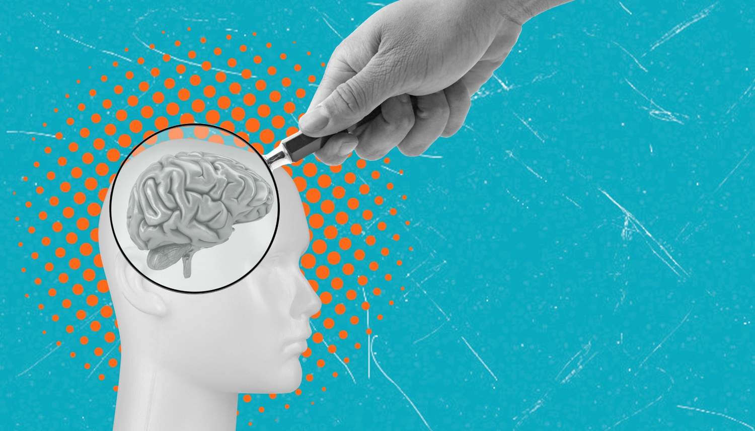 Tes Minat Bakat Online