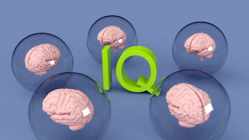 Tes IQ Online