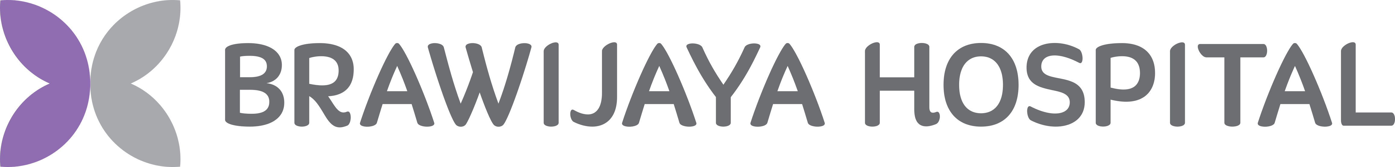 Brawijaya Hospital Group