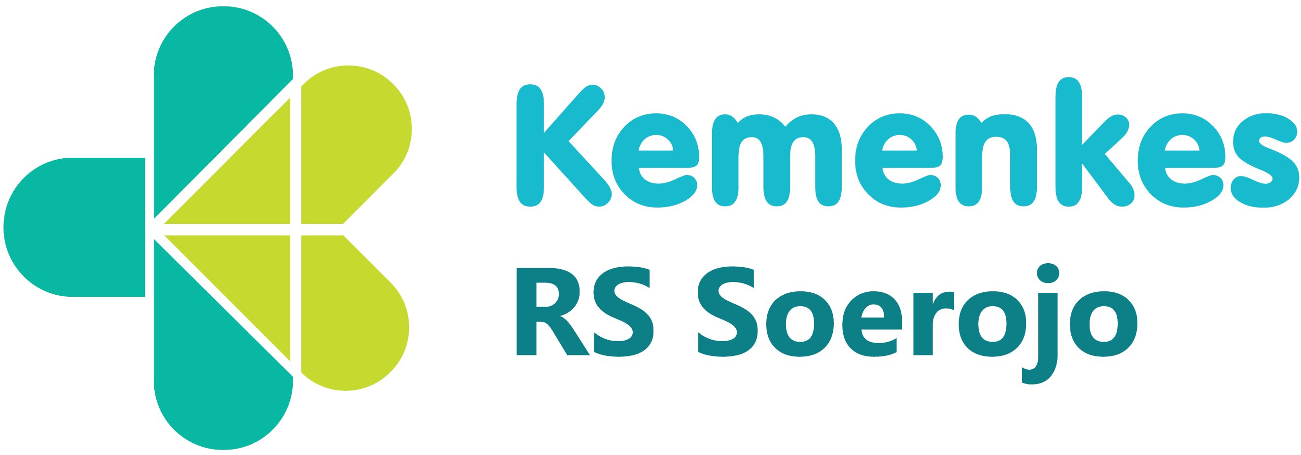 RSJ Prof. dr. Soerojo Magelang