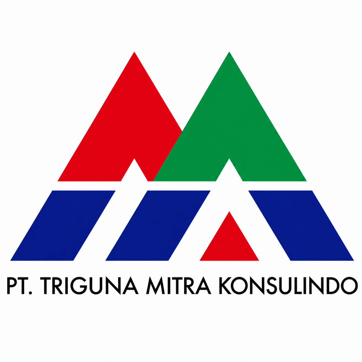 PT. Triguna Mitra Konsulindo